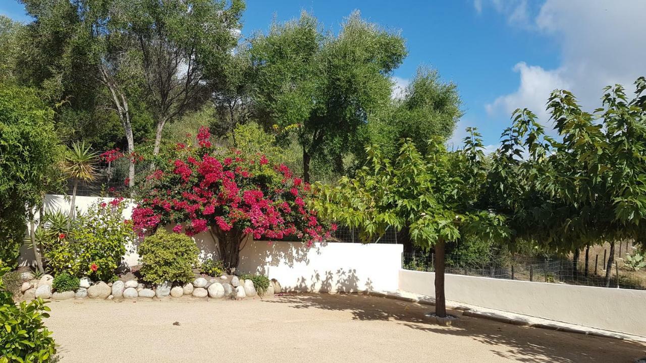 Residence U Melu Grand T3 Jaune A L'Etage Tiuccia Buitenkant foto