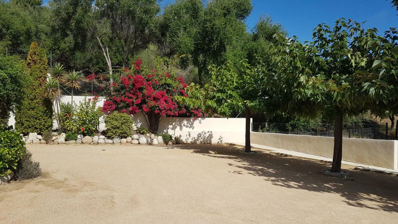 Residence U Melu Grand T3 Jaune A L'Etage Tiuccia Buitenkant foto